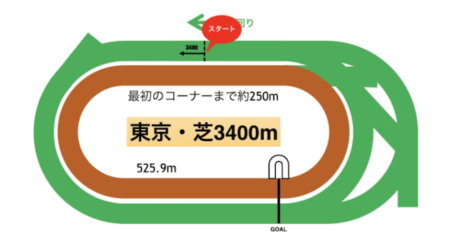 東京競馬場芝3,400m