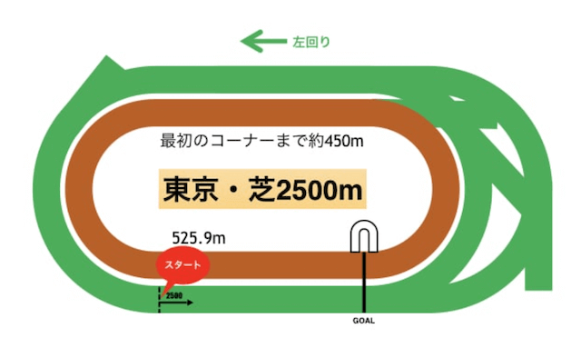 東京競馬場芝2,500m