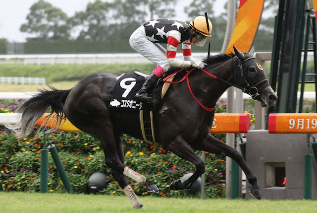 マーメイドステークス2024対抗馬コスタボニータ