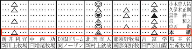 日刊競馬　競馬新聞画像4