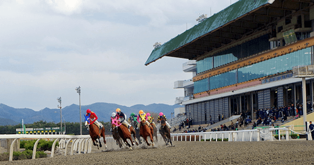 地方競馬コツコツ稼ぐコラム画像.1