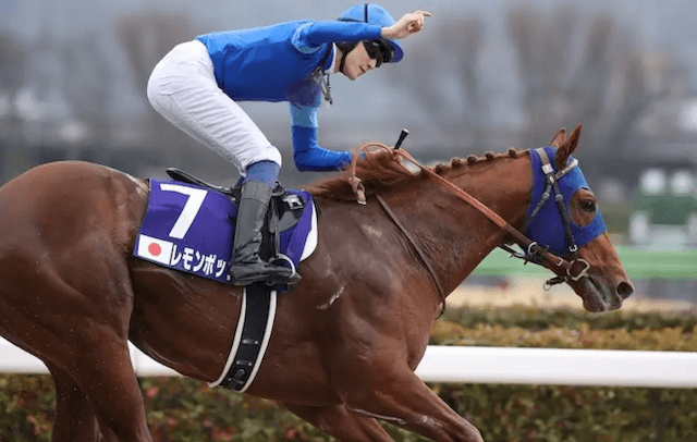 地方競馬コツコツ稼ぐコラム画像.13