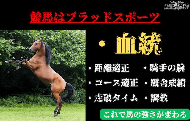 競馬はブラッドスポーツ