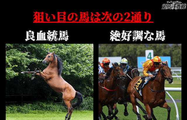 狙い目の馬は次の2通り