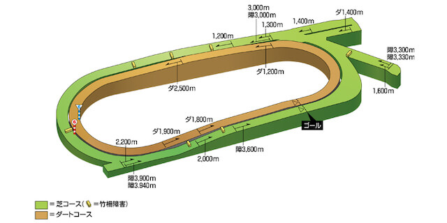 中京競馬場コース特徴