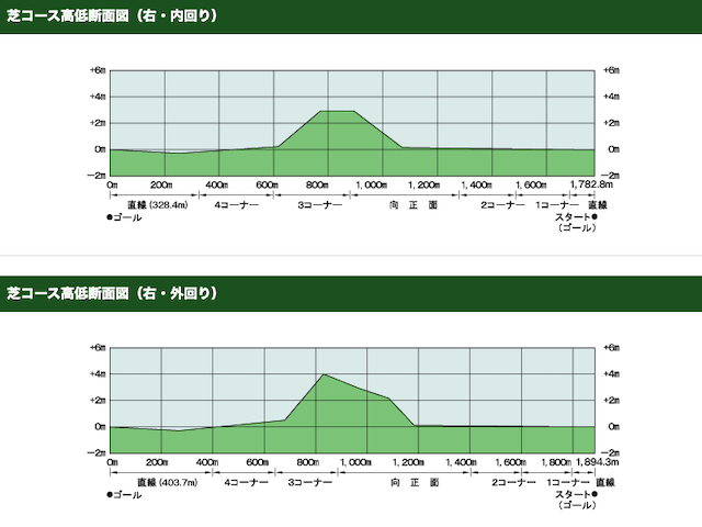 京都競馬場　高低差