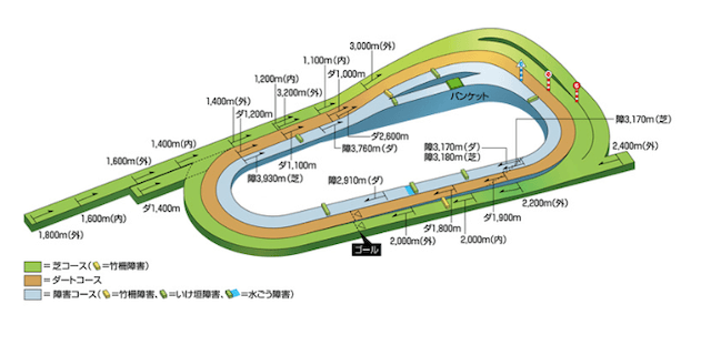 京都競馬場　コース画像