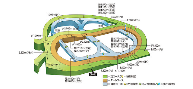 中山競馬場コース特徴