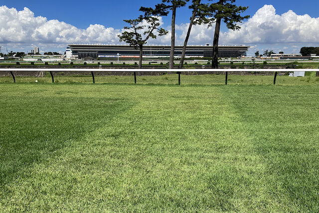 中山競馬場の芝特徴