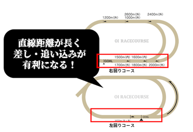 大井競馬場特徴①