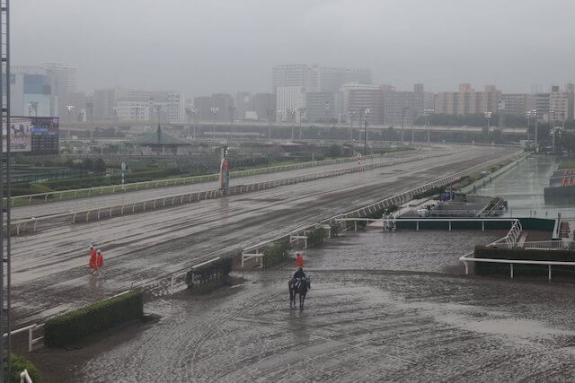 大井競馬場天気