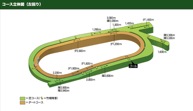 中京競馬場　コース画像