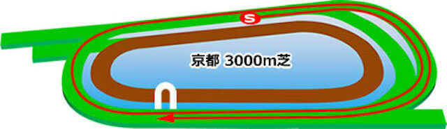 京都芝3000m