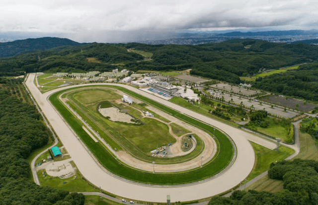 盛岡競馬場　コラム画像2