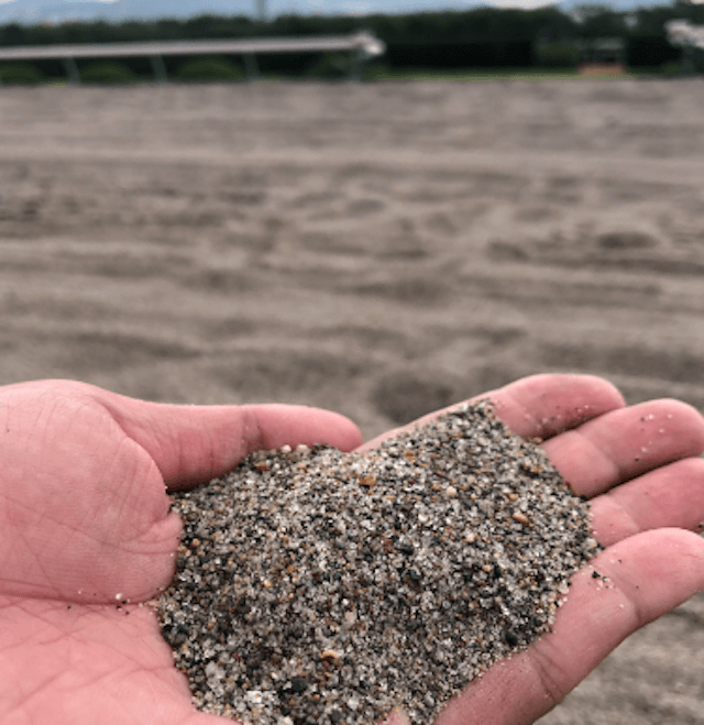 盛岡競馬場　コラム画像4