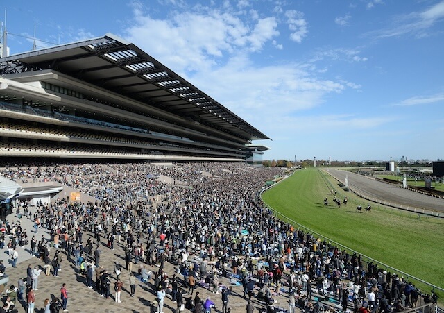 中央競馬場