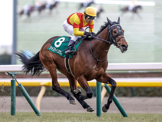 馬券上手な買い方馬選び