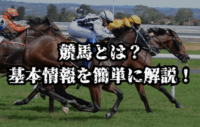 競馬初心者必見】おすすめの賭け方や勝率を高めるポイントを徹底解説！