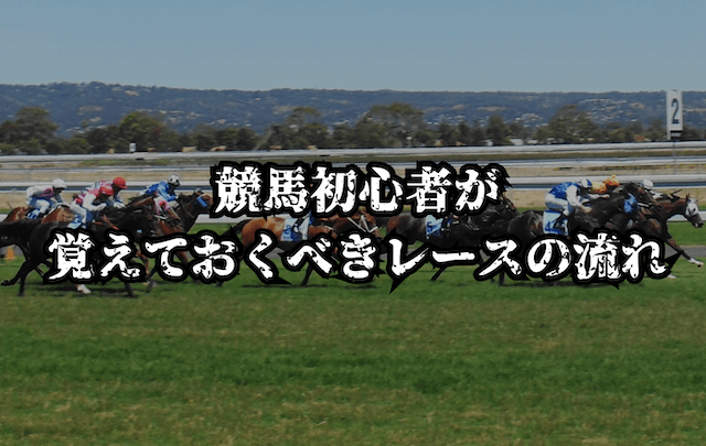 競馬初心者が覚えておくべきレースの流れ