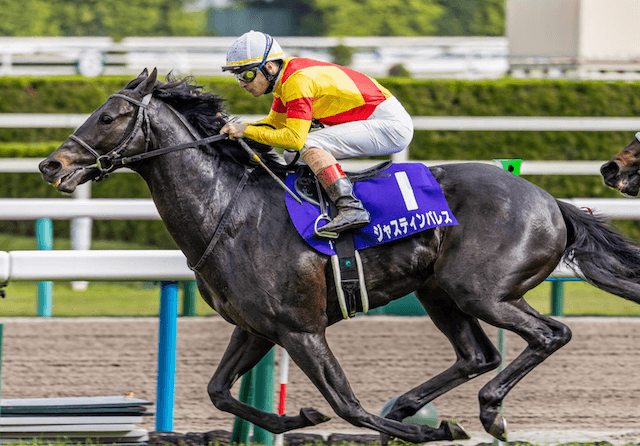 arimakinen11