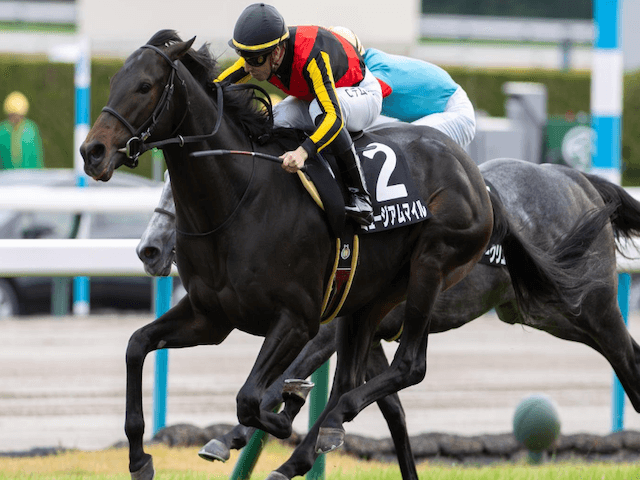 朝日杯フューチュリティステークス馬画像1