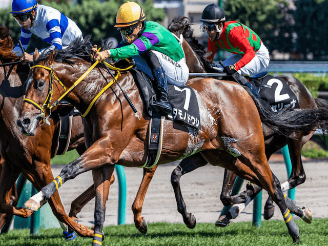 朝日杯フューチュリティステークス馬画像3