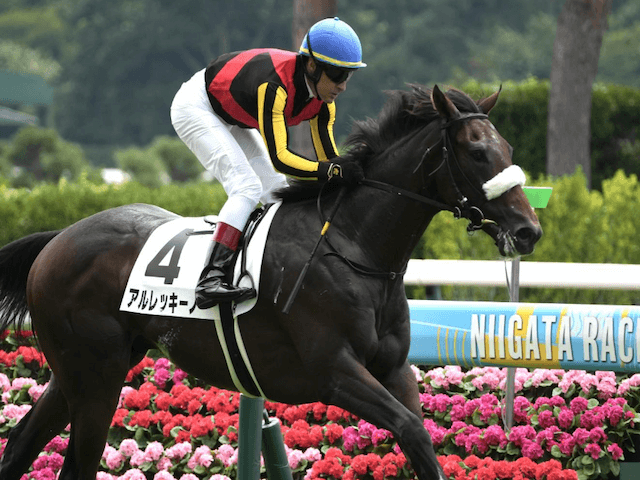 朝日杯フューチュリティステークス馬画像4