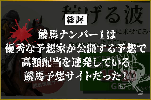 競馬ナンバー1　総評画像