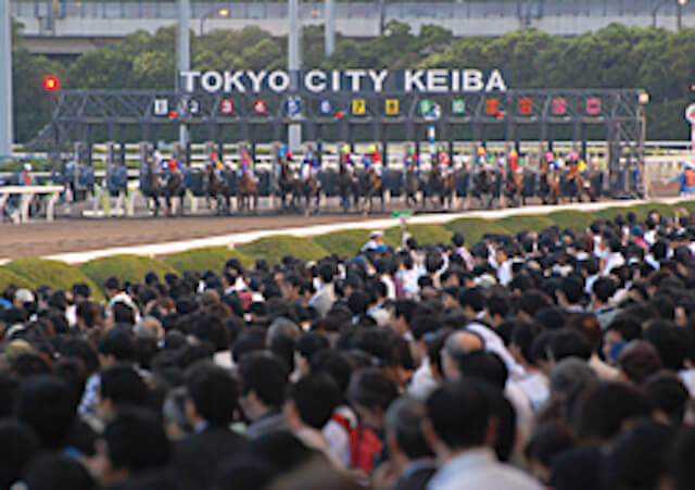 東京大賞典買い方