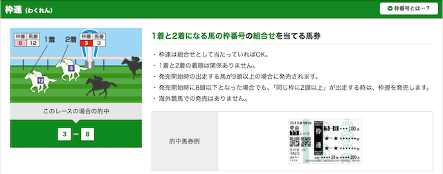 競馬初心者におすすめの賭け方をご紹介！レースの流れ・馬券の買い方についても解説！