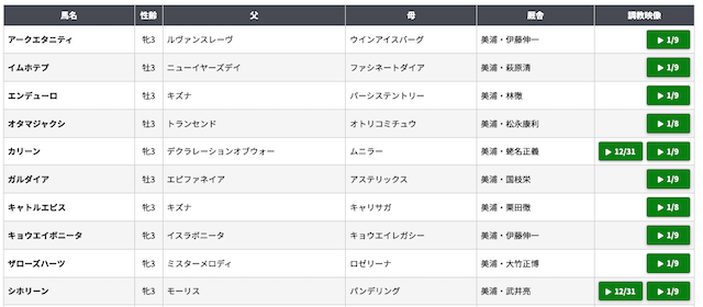 新馬戦買い方　レーシングビュアー画像