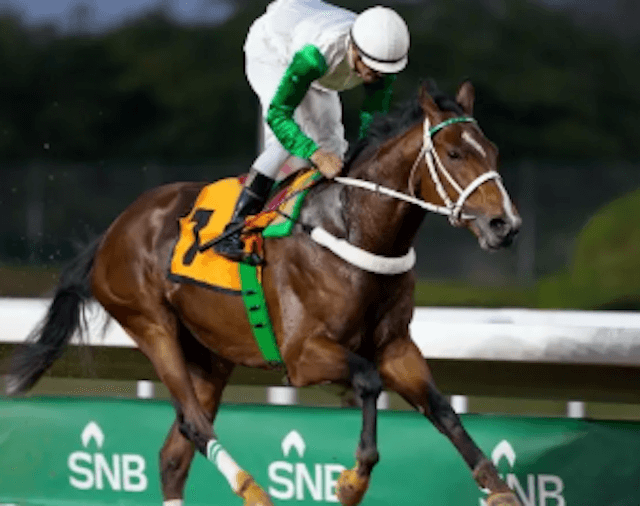 サウジカップ出走馬　アルムスマク