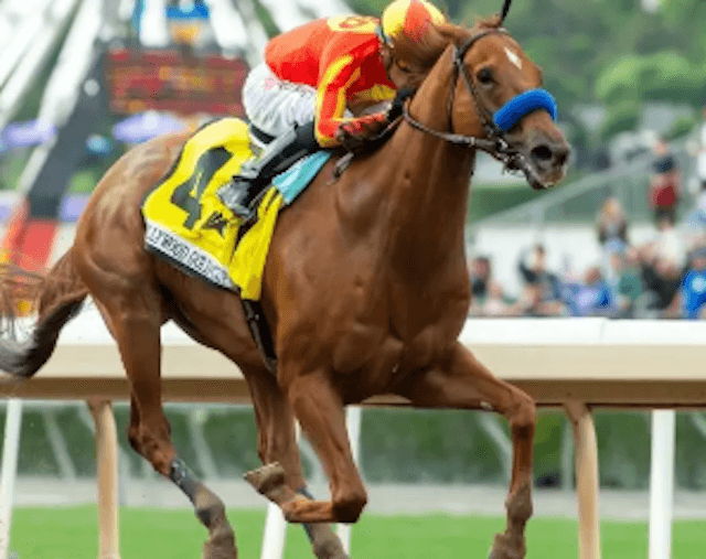 サウジカップ出走馬　ディファンデッド