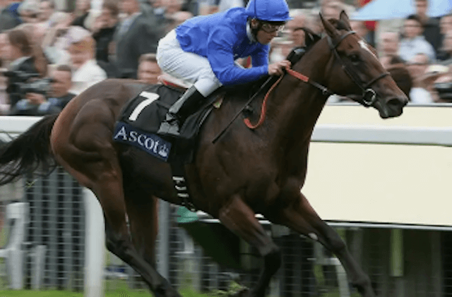 サウジカップ出走馬　ファクトゥールシュヴァル