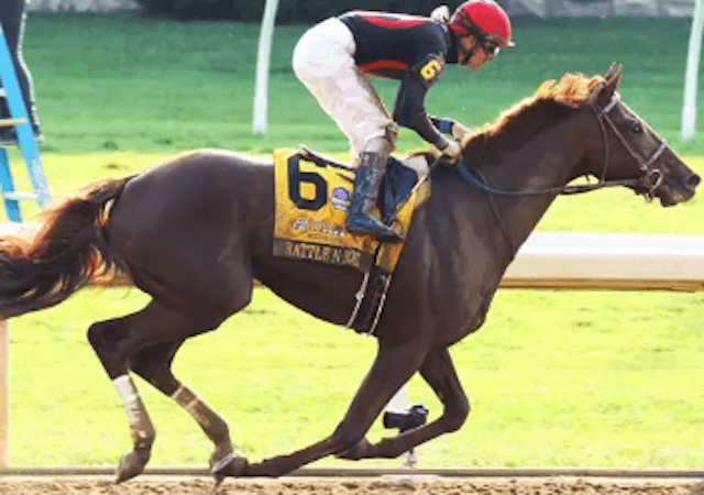 サウジカップ出走馬　ラトルンロール