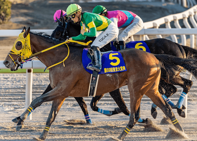 サウジカップ出走馬　ウシュバテソーロ