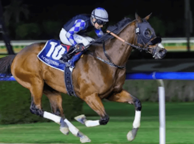 サウジカップ出走馬　ウォークオブスターズ