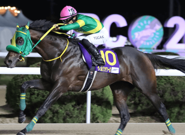 サウジカップ出走馬　ウィルソンテソーロ