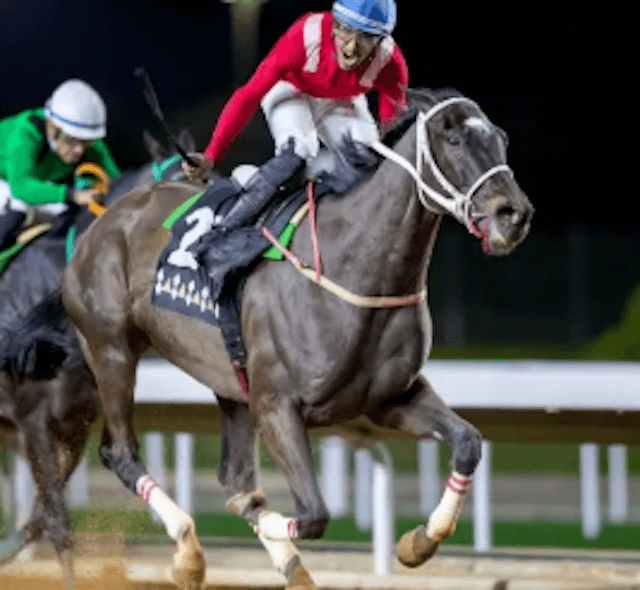 サウジカップ出走馬　ウートンサン