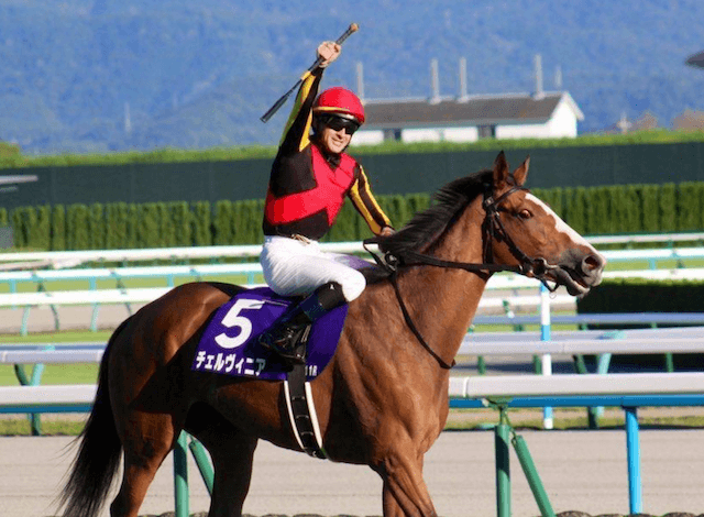 京都記念有力馬1頭目：チェルヴィニア