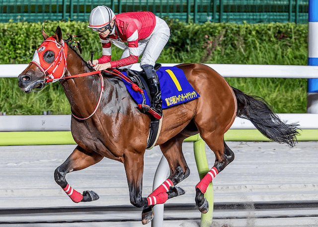 サウジカップみんなの注目馬　フォーエバーヤング