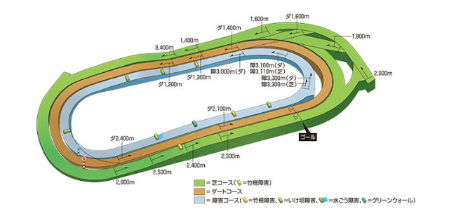 東京競馬場　コース概要